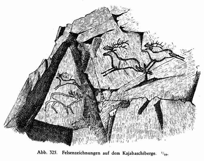 Abb. 325
