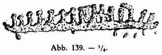Abb. 139