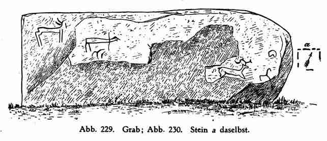 Abb. 229