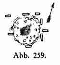 Abb. 259